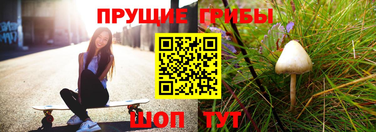 Волгоград  Псилоцибиновые грибы прущие грибы  Вход с VPN 