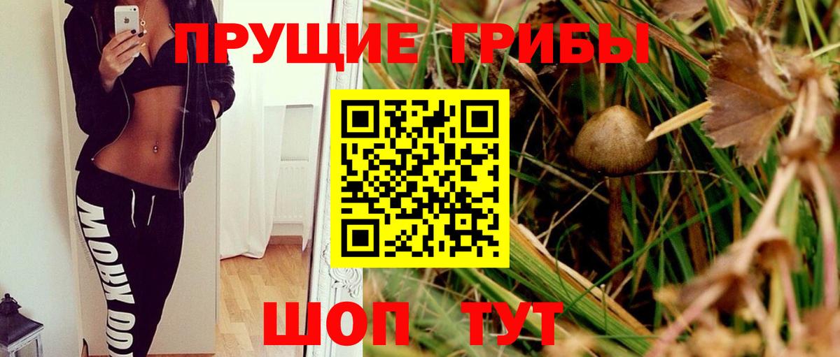  COCAIN Волгоград